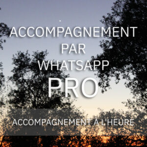 Accompagnement Whatsapp